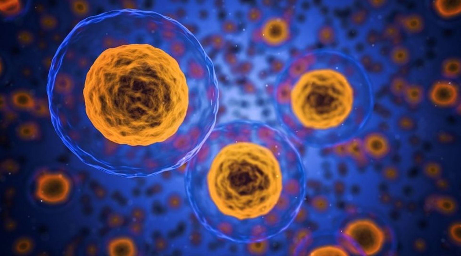 SG Digest: EDBI, Vertex back ElevateBio; IoT Tribe selects 12 startups