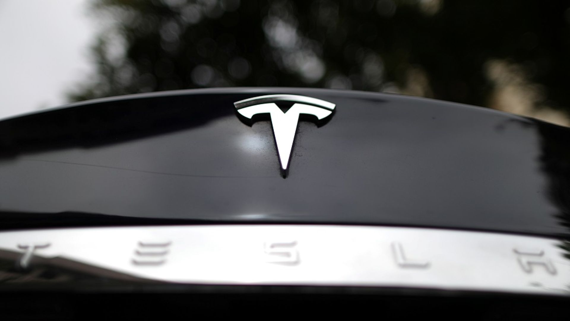Former employees sue Tesla over 'mass layoff'