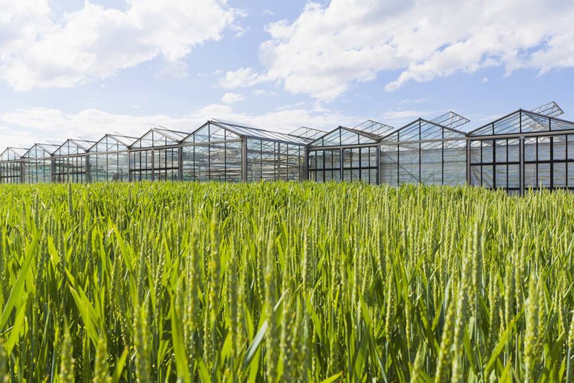 SG's Visvires New Protein invests in Ynsect's $125m Series C round