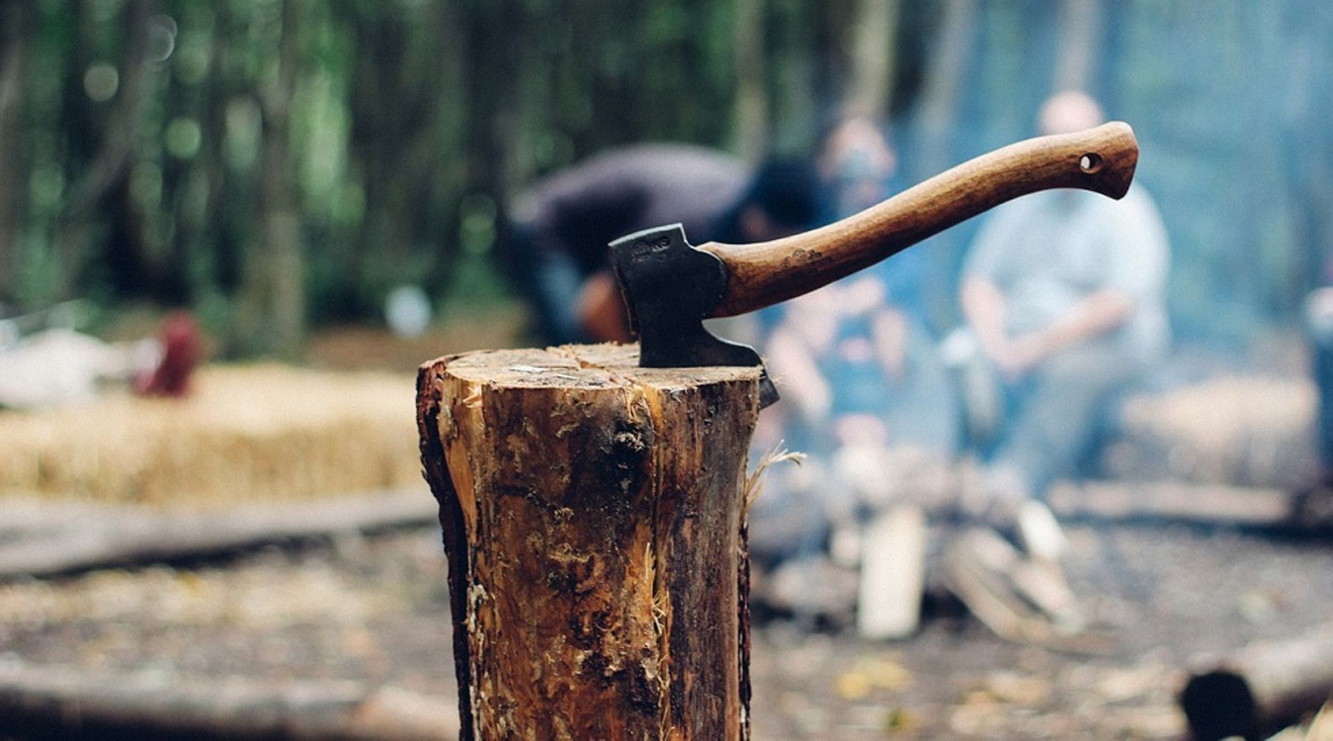 Japan's Polaris Capital exits timber firm Hivic in $77.3m deal