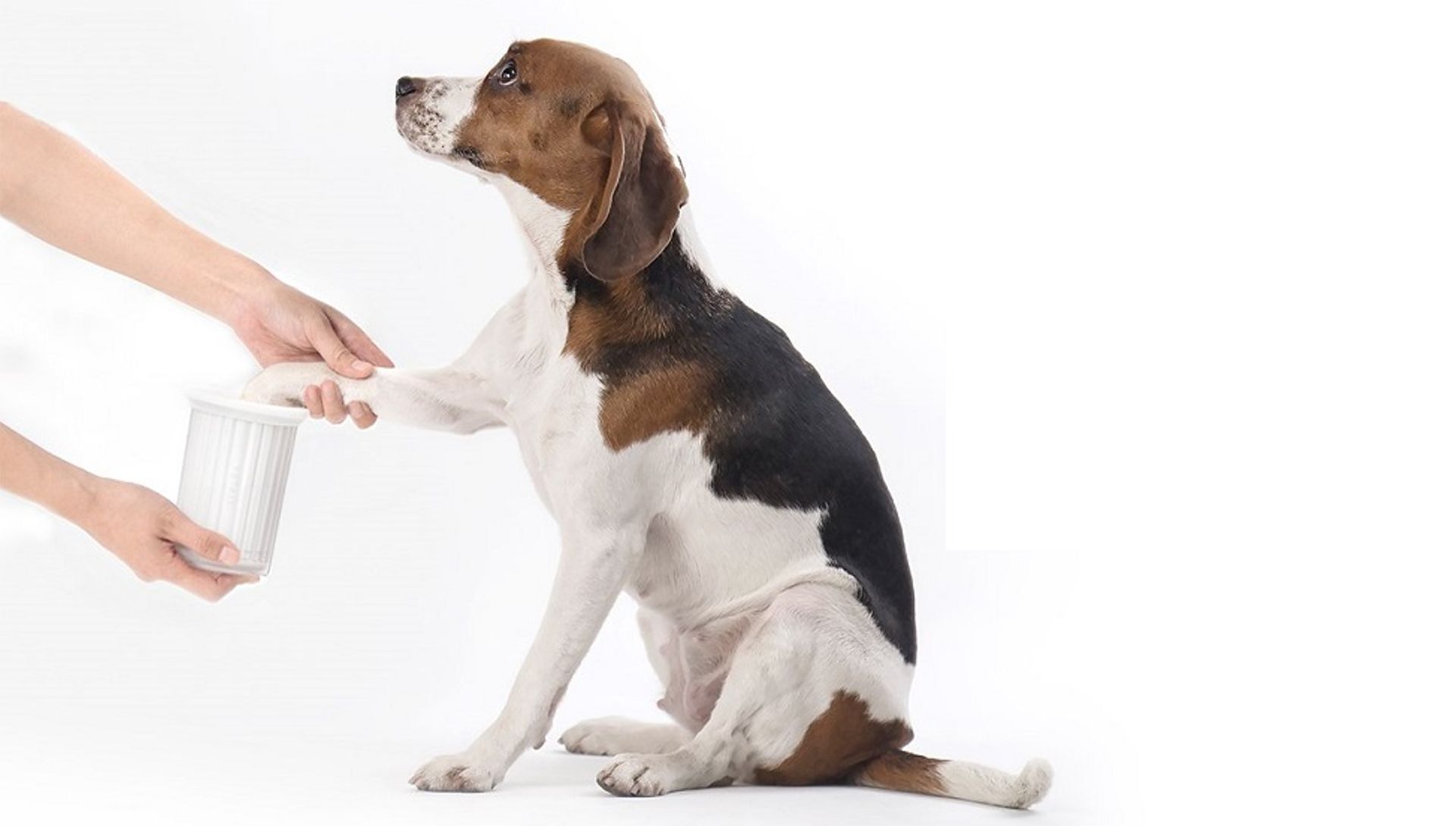 Asia Digest: MPower backs RABO; Grow Impact invests in third cohort startups