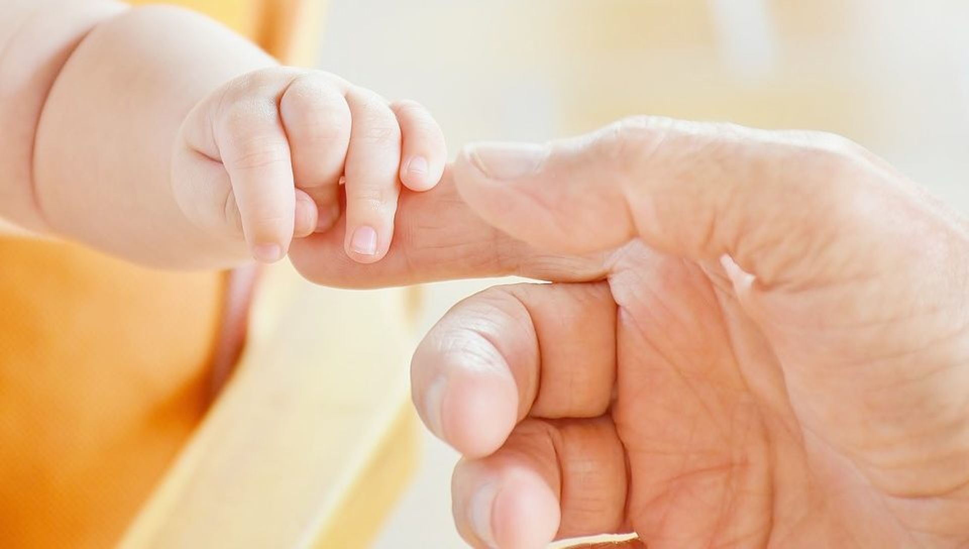 India Dealbook: Healofy, Voiro, Transport Hub secure funding