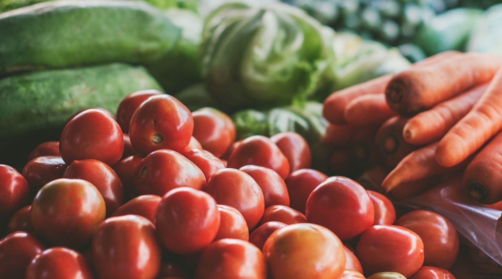 Tiger Global invests $89.5m in Indian agri-tech startup NinjaCart