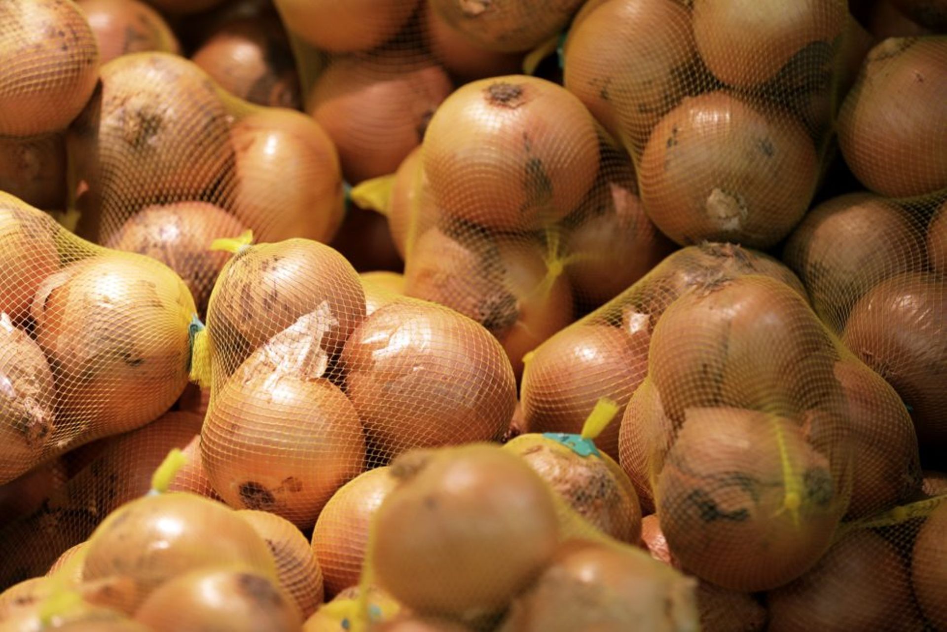 India: Jumbotail raises $13m in Series B funding to expand ops