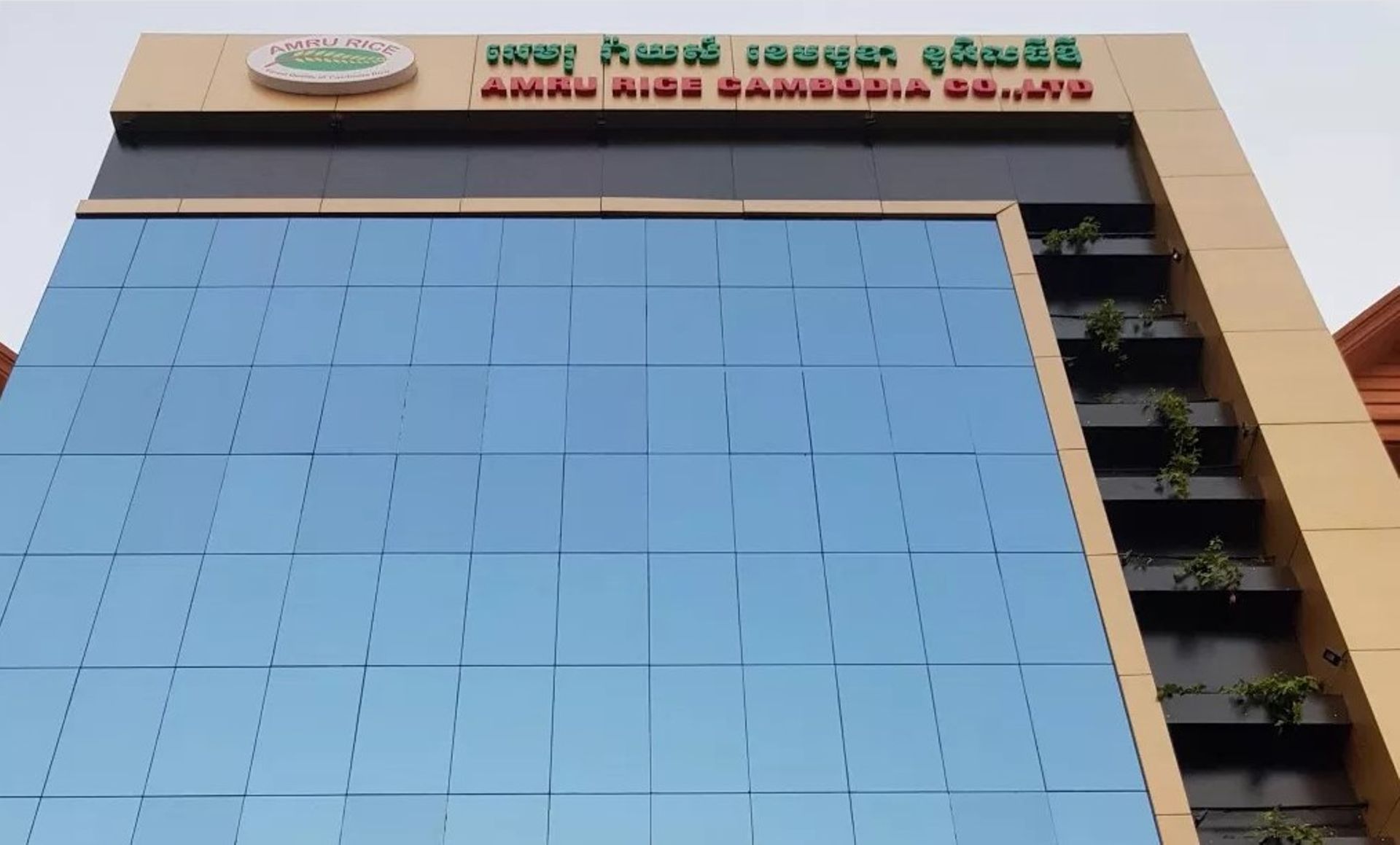 IFC may invest $10m in Cambodian rice processor AMRU Rice