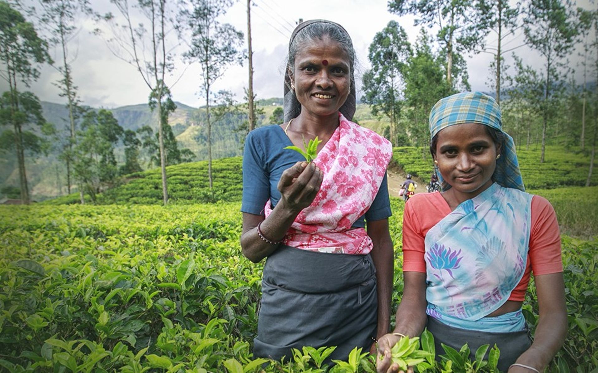 Dutch bank FMO proposes $15m investment in Lok Capital's fourth PE fund