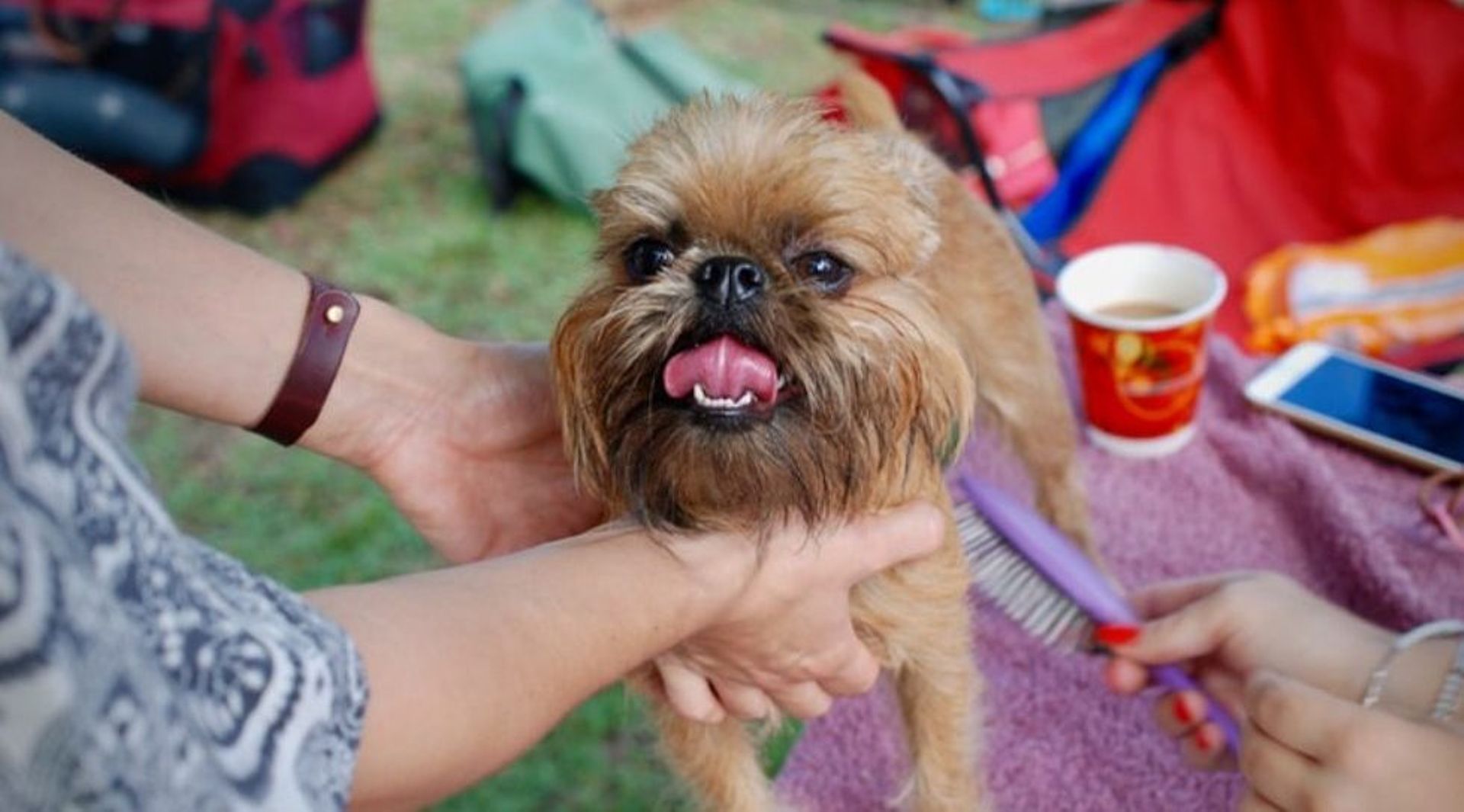 India Digest: Masai School, Supertails, doola raise funding