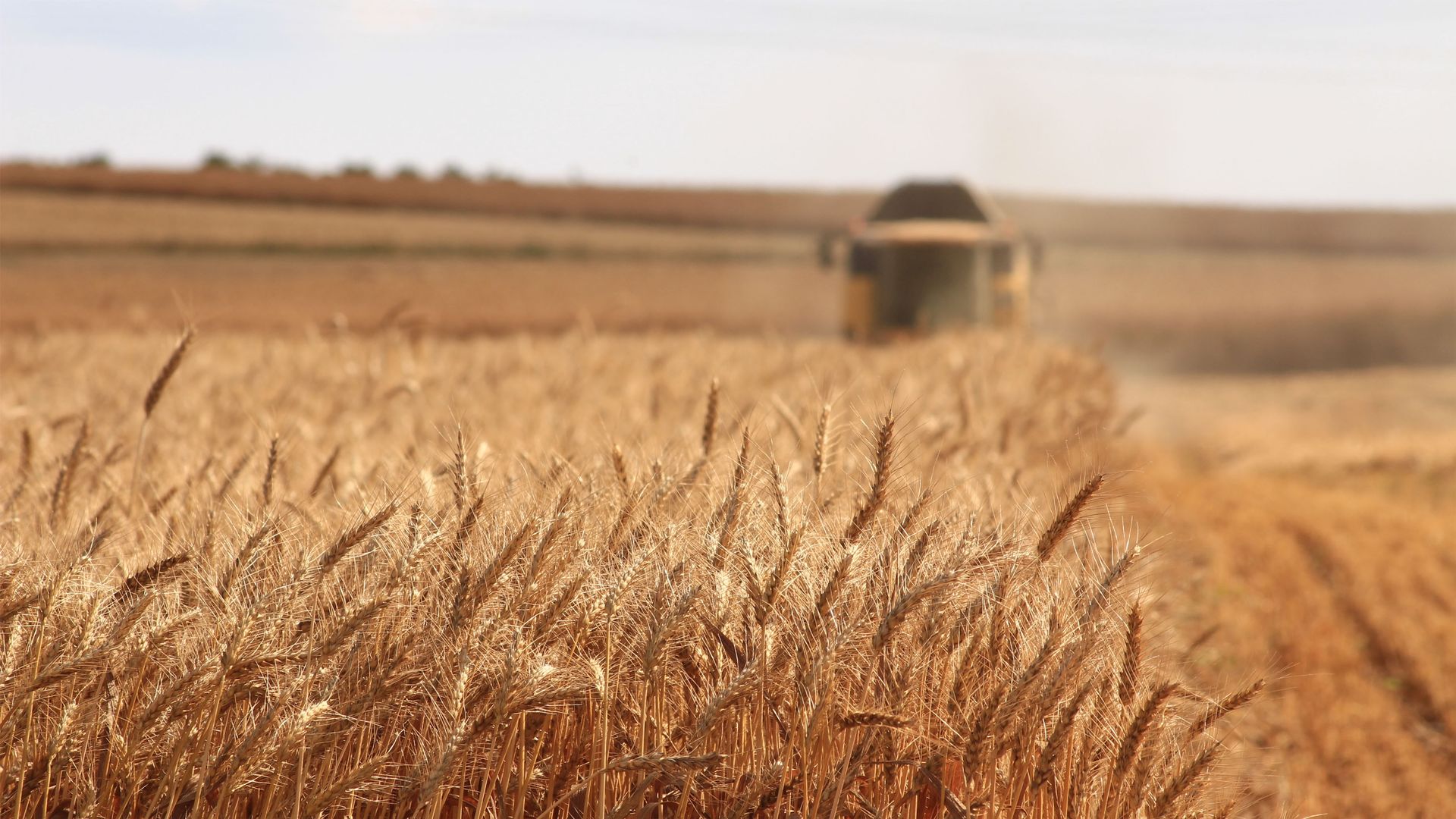 Australia's Nufarm to sell S American assets to Sumitomo for $805m