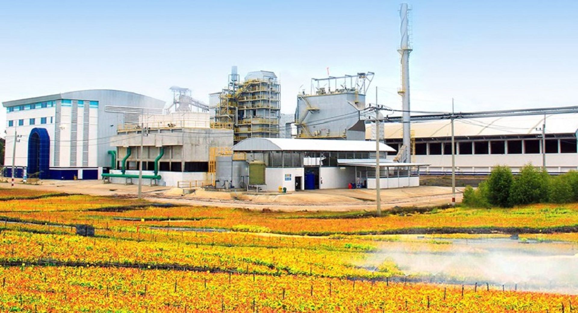 Renewable energy firm generates new billionaire family in Thailand