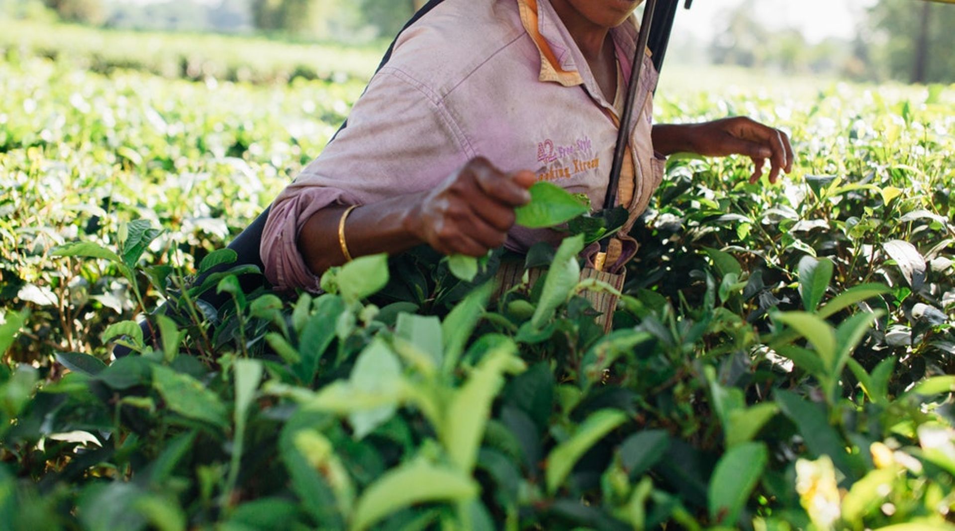 India: Rural auto-fintech platform Tractor Junction raises $22m led by Astanor