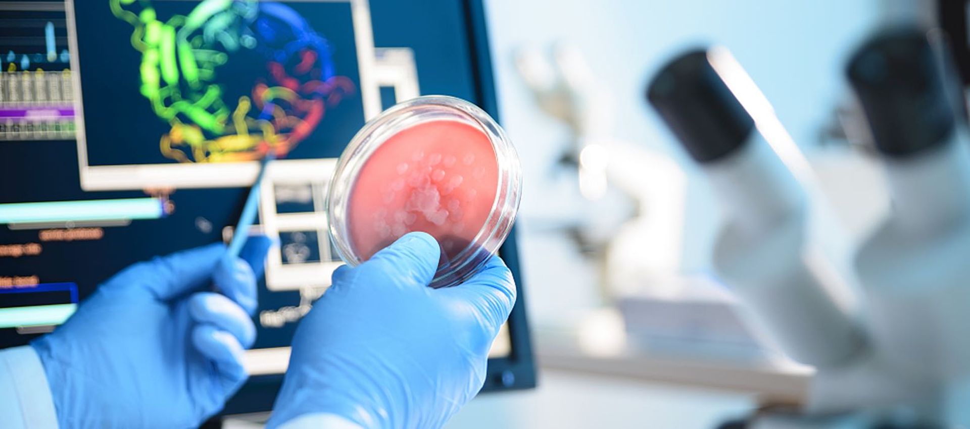 Chinese biotech firm Adagene plans $200m US IPO