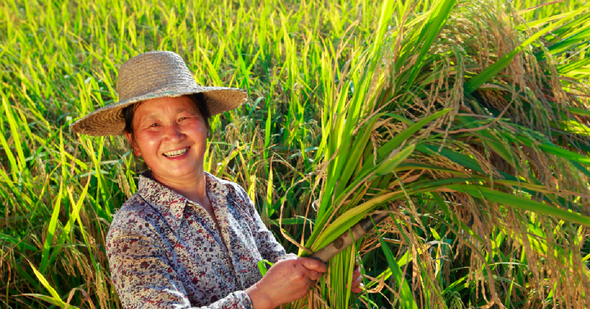 Singapore-based impact investor IIX closes $12m Women’s Livelihood Bond 2