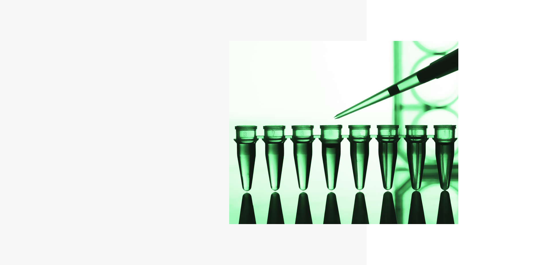 China Digest: Cyagen snags $41m; Alibaba-backed Amwise raises $10m