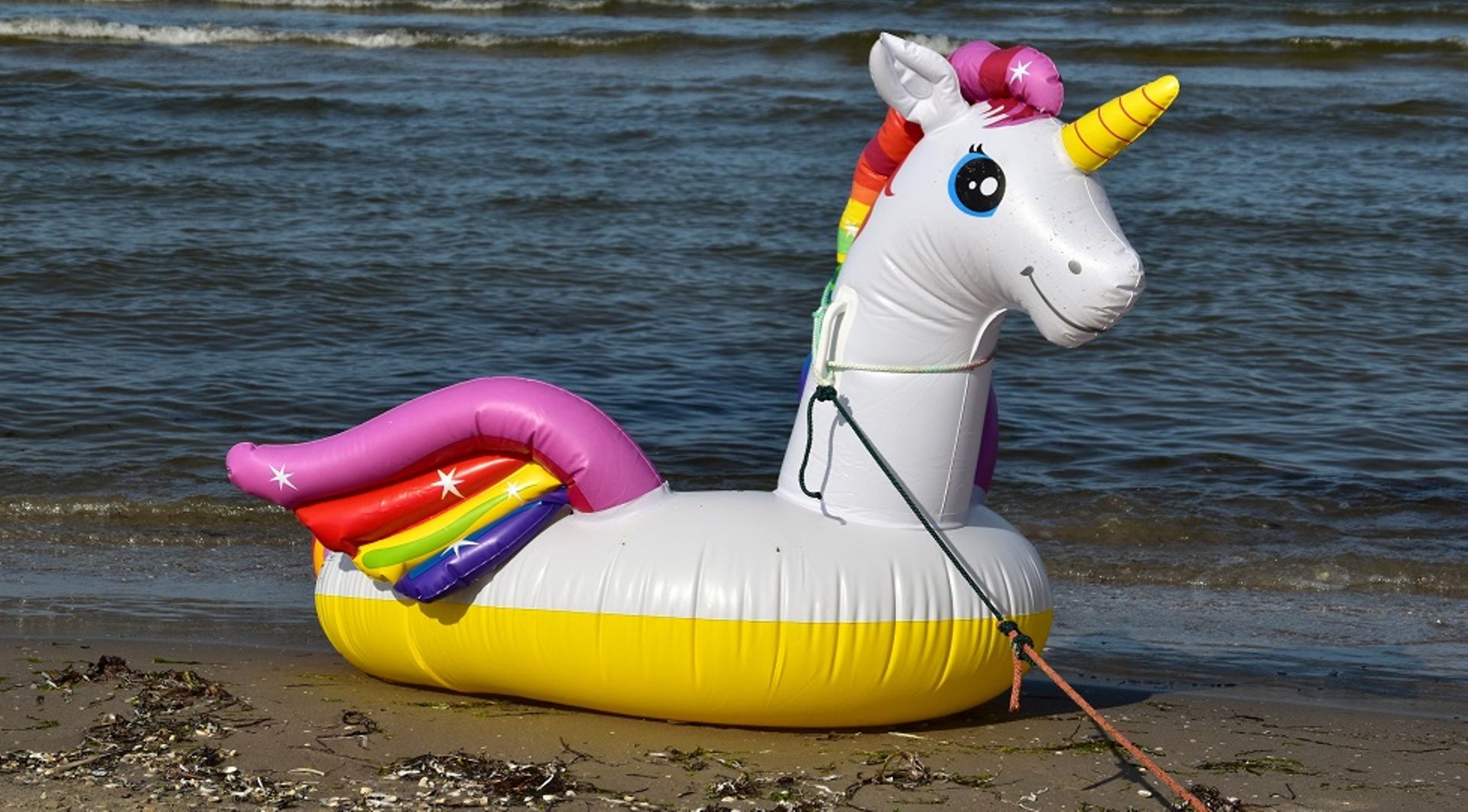 French startup Swile becomes unicorn after SoftBank-led $200m funding