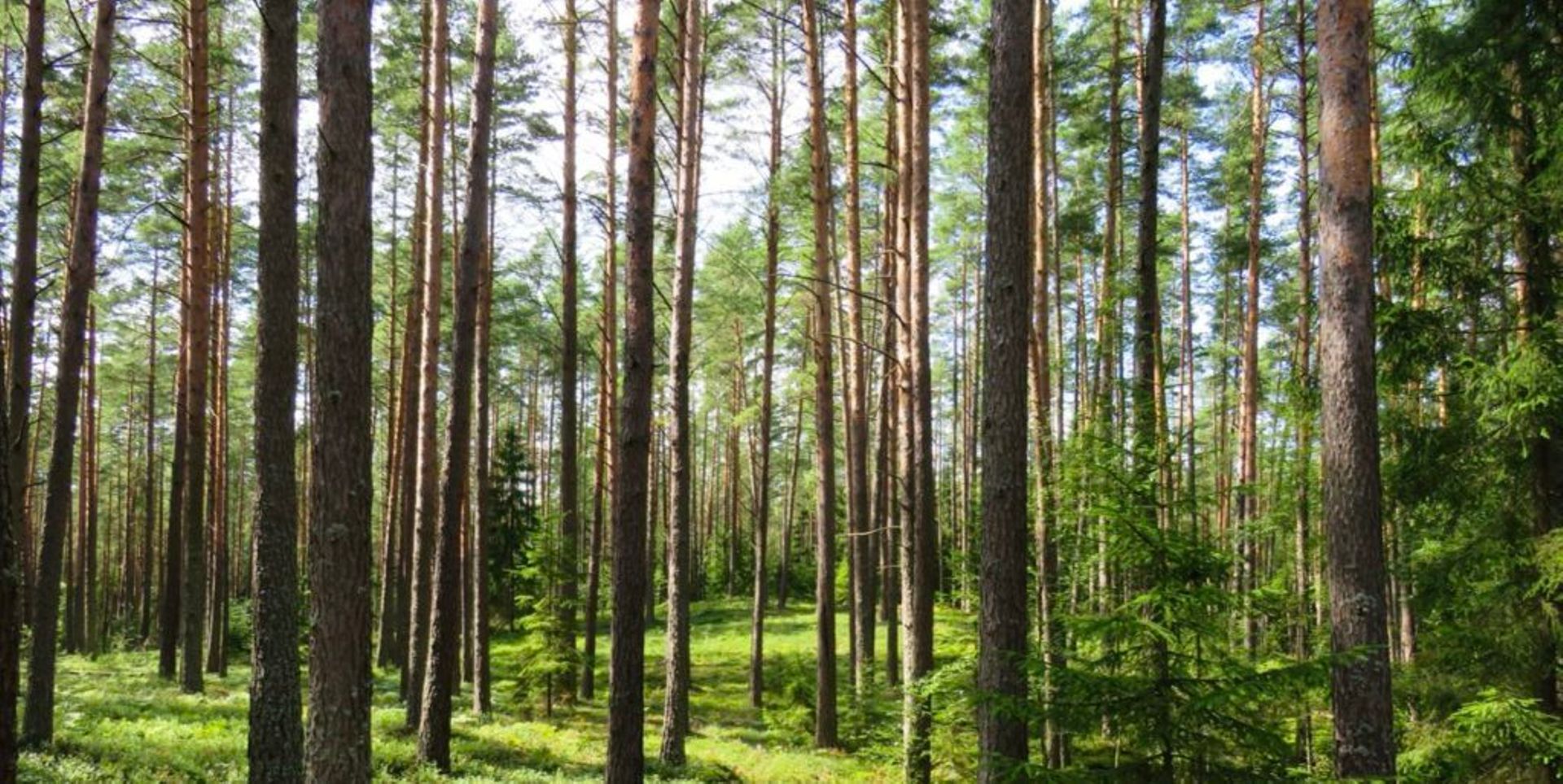 Lightspeed China secures first close of new RMB fund at $116m for green tech, hard tech