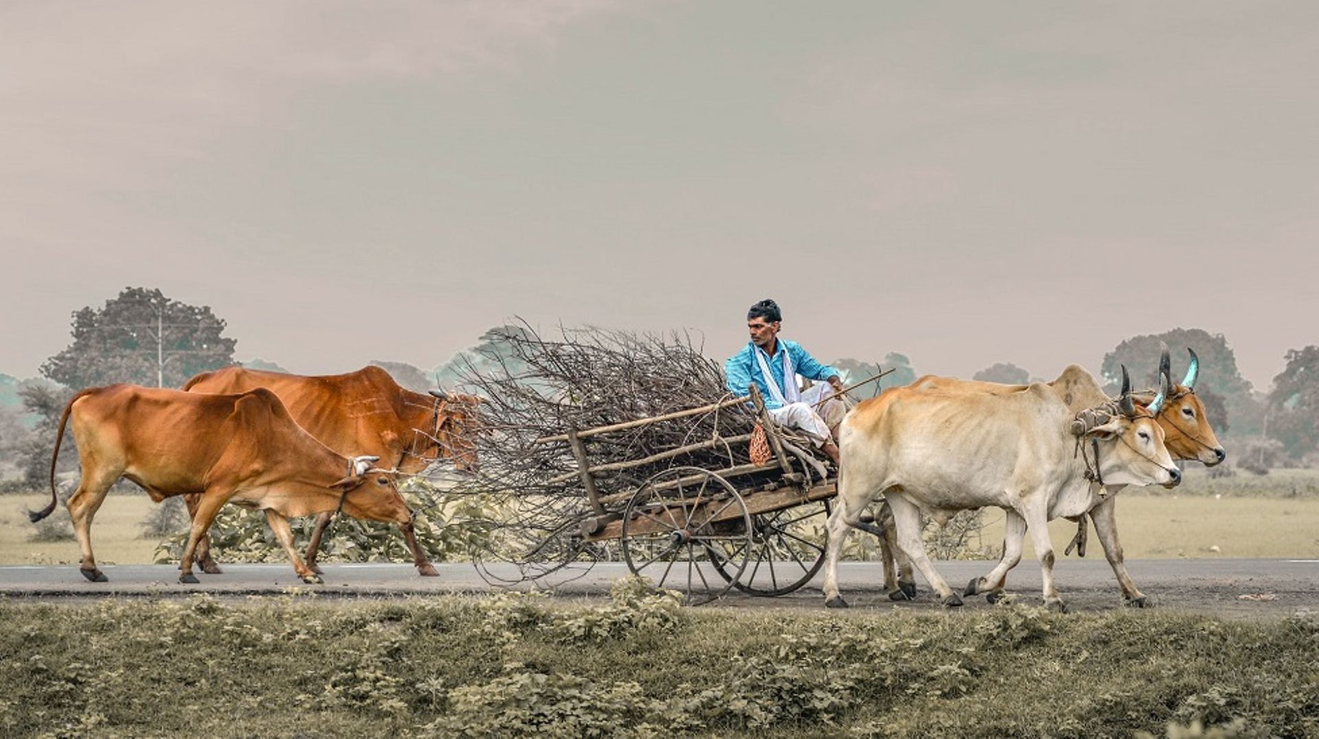 Sequoia-backed agritech startup DeHaat taps franchise route for smart fields