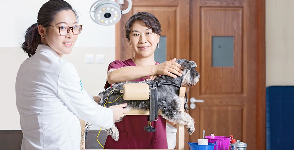 Tencent leads over $100m funding in pet clinic operator ...