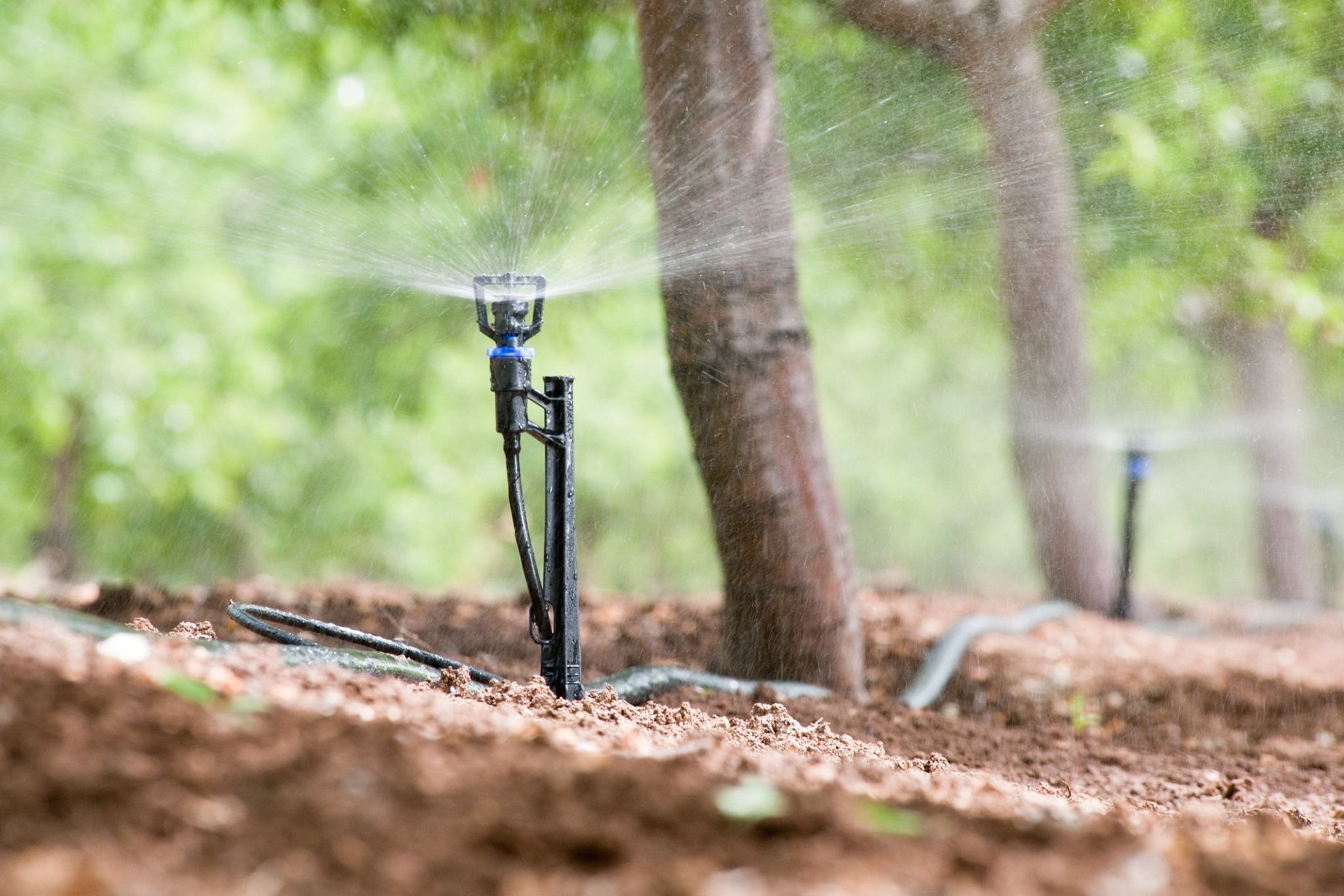 Temasek agrees to acquire Israeli microirrigation firm Rivulis