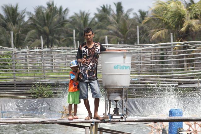 Indonesian aquatech startup eFishery raises $33m loan facility from Bank DBS