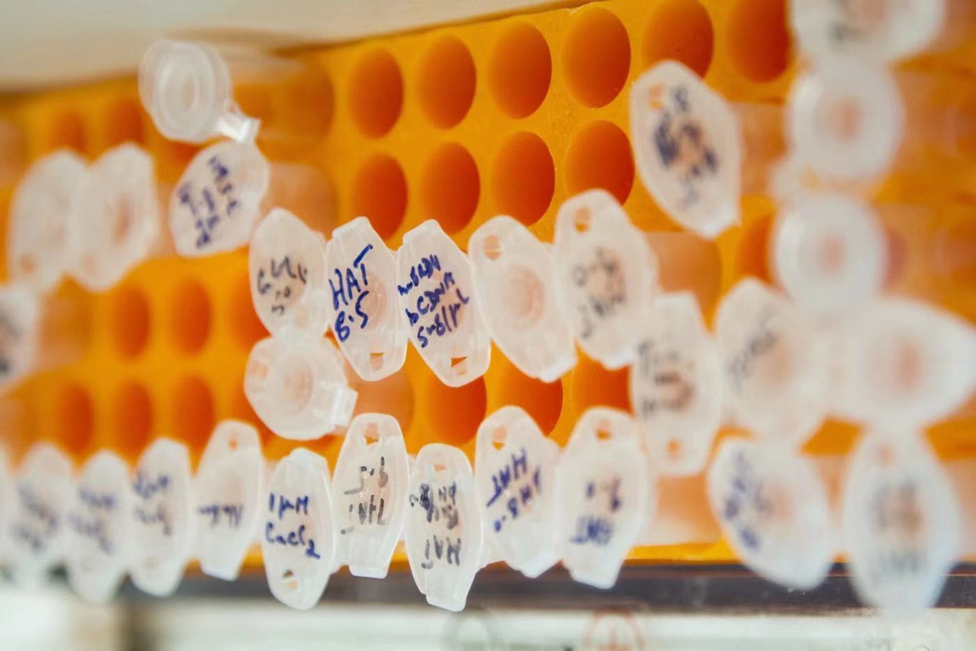 Genetic diagnostics firm Singlera nets $152.6m in Series B round