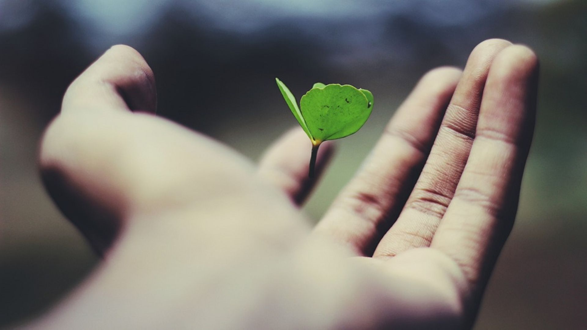 India: Mental health platform InnerHour raises $5.2m led by Lightbox