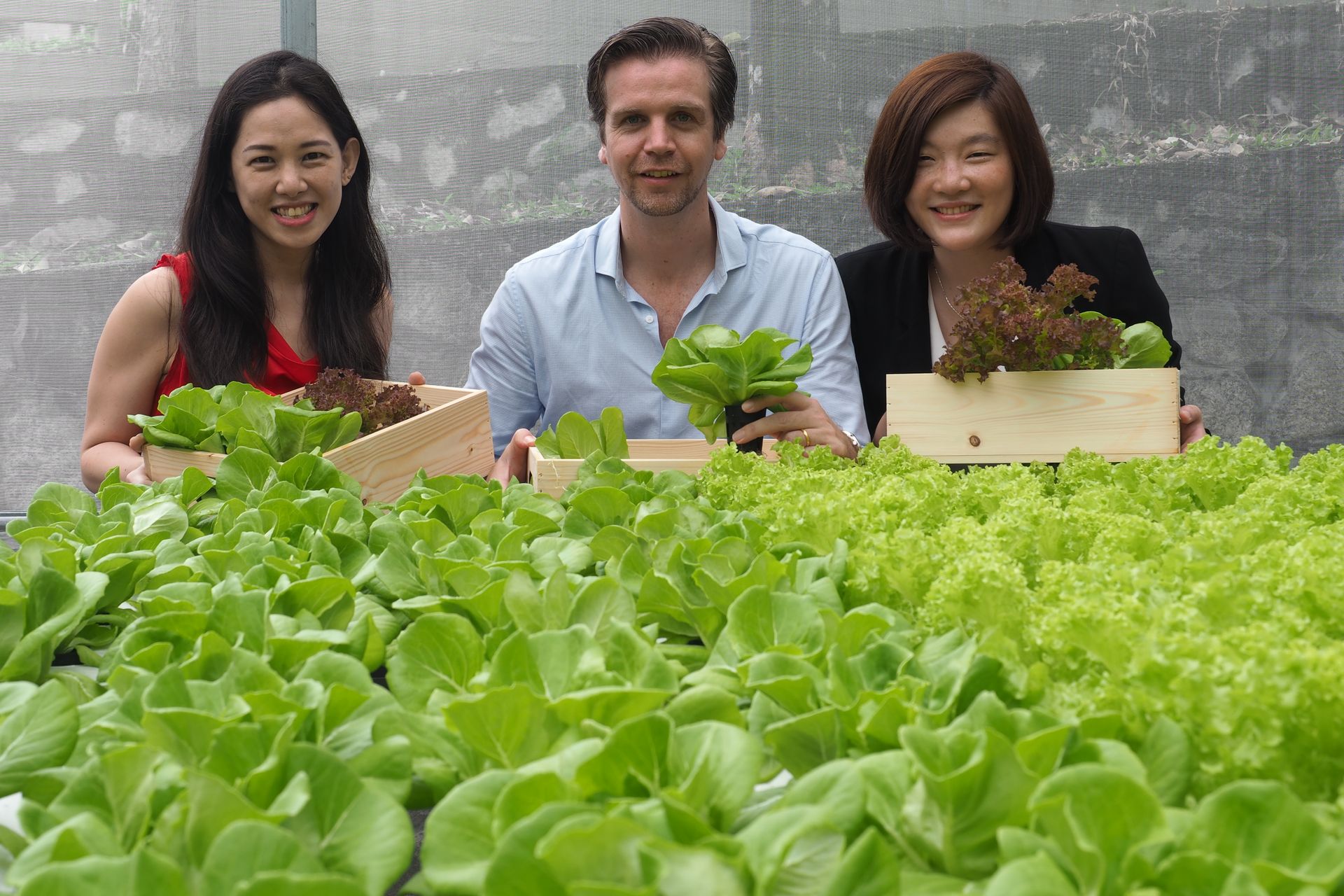 Malaysia's Sunway plans much more than a quick buck from its VC venture