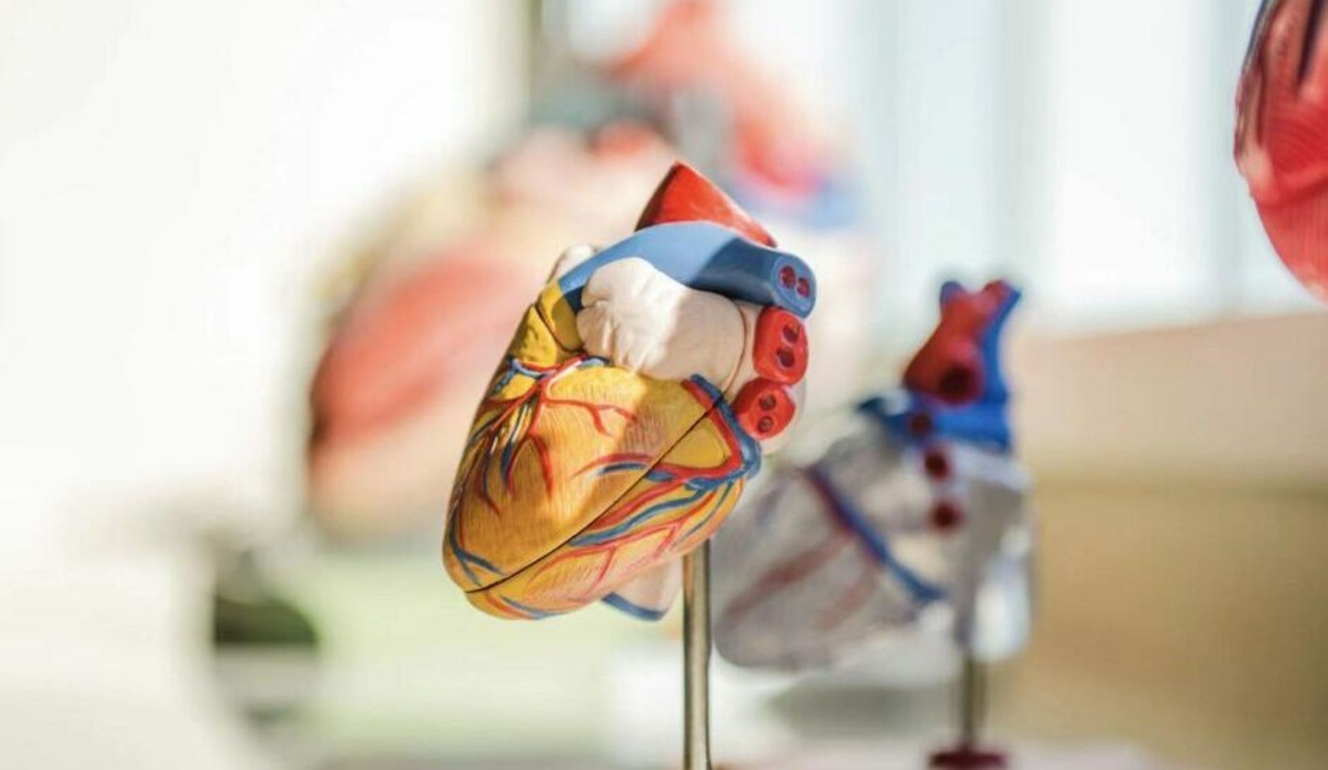 Centurium, 6 Dimensions lead $100m Series C round for medtech startup MitrAssist