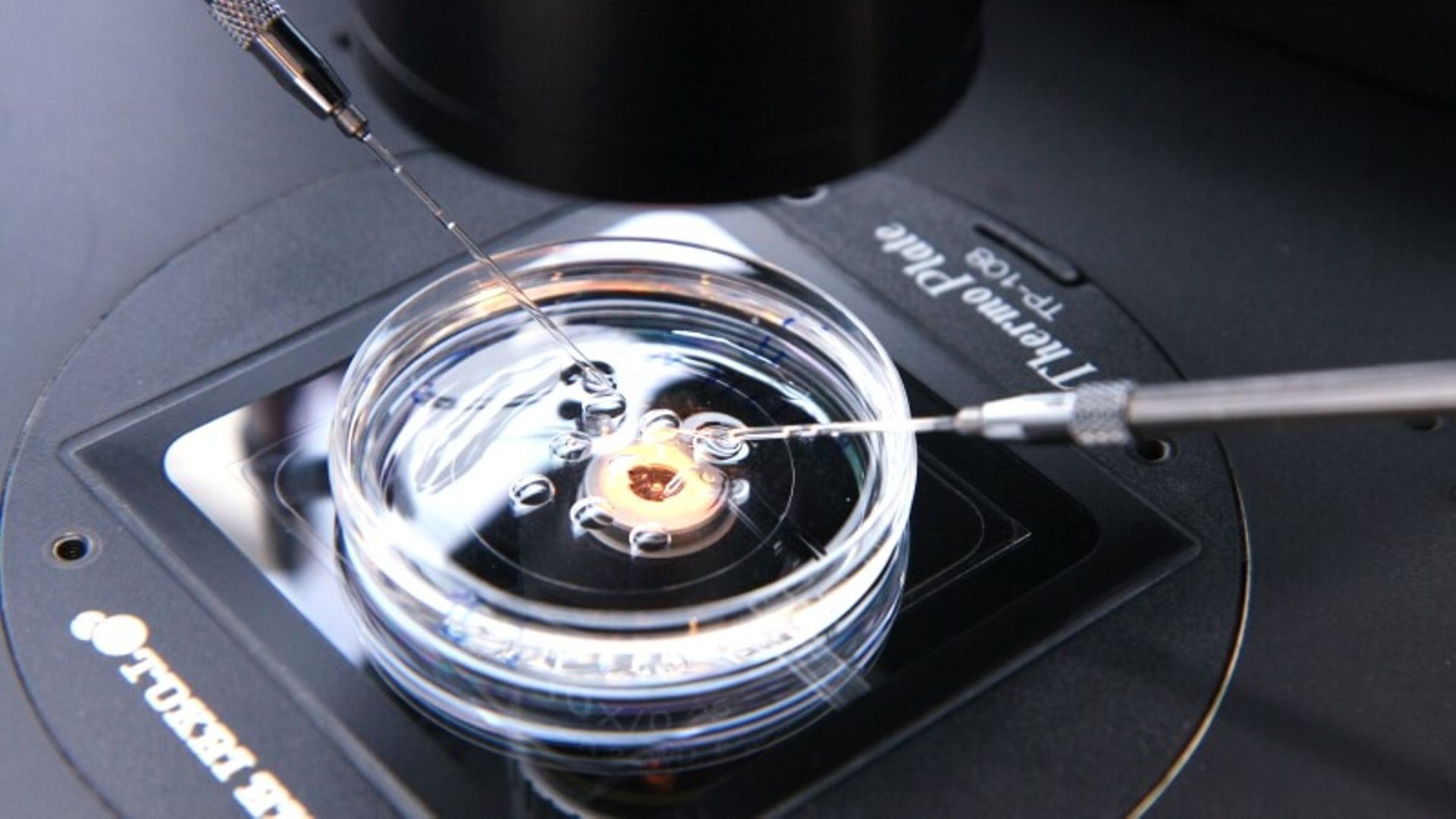 China Digest: MediLink raises $54m, Lunar acquires stake in HK's IVF business