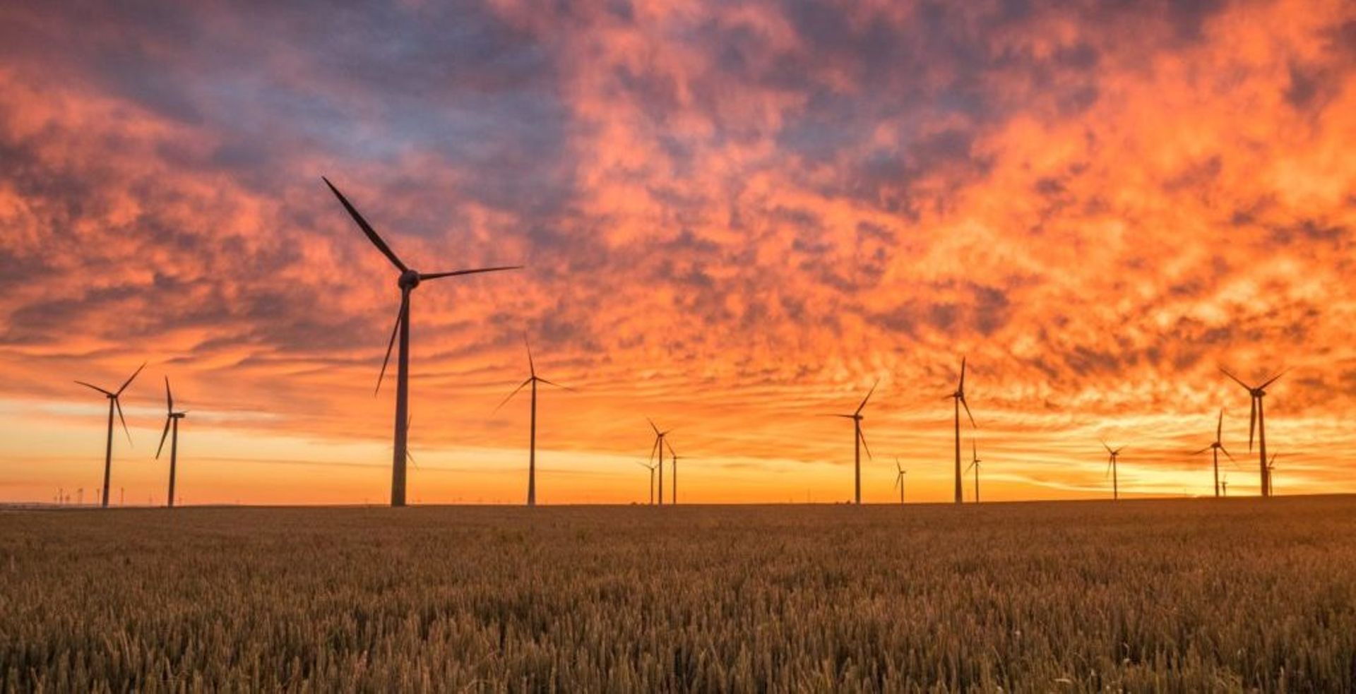 New Zealand Super Fund commits $144m to Copenhagen Infrastructure’s energy vehicle