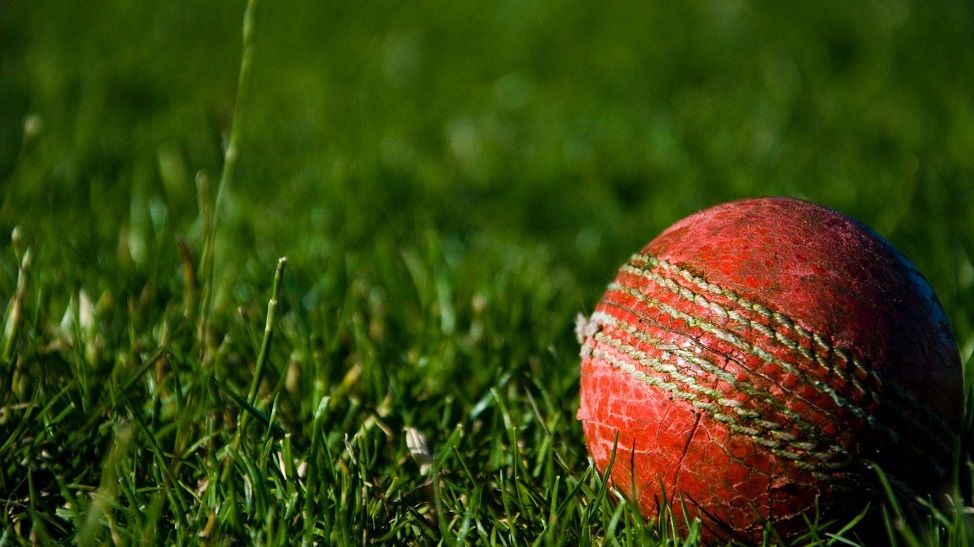Temasek exploring investment opportunities in India's IPL cricket league