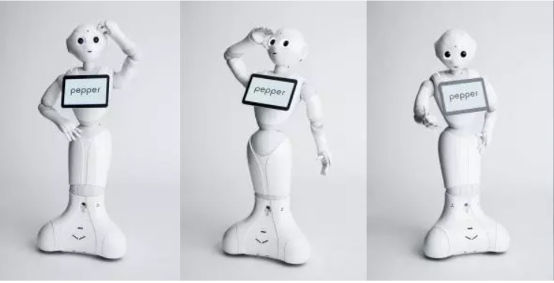 SoftBank's 2014 predictions of a new personal robot era now seem overly optimistic