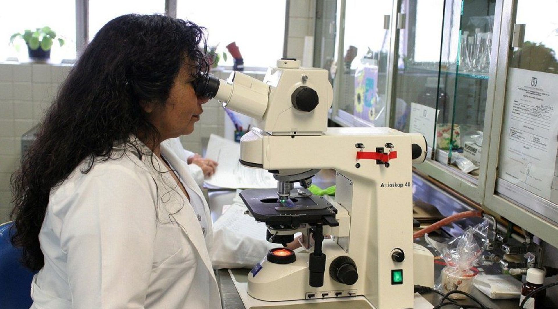 CDC Group, Creaegis co-lead $75m funding in India's Medikabazaar