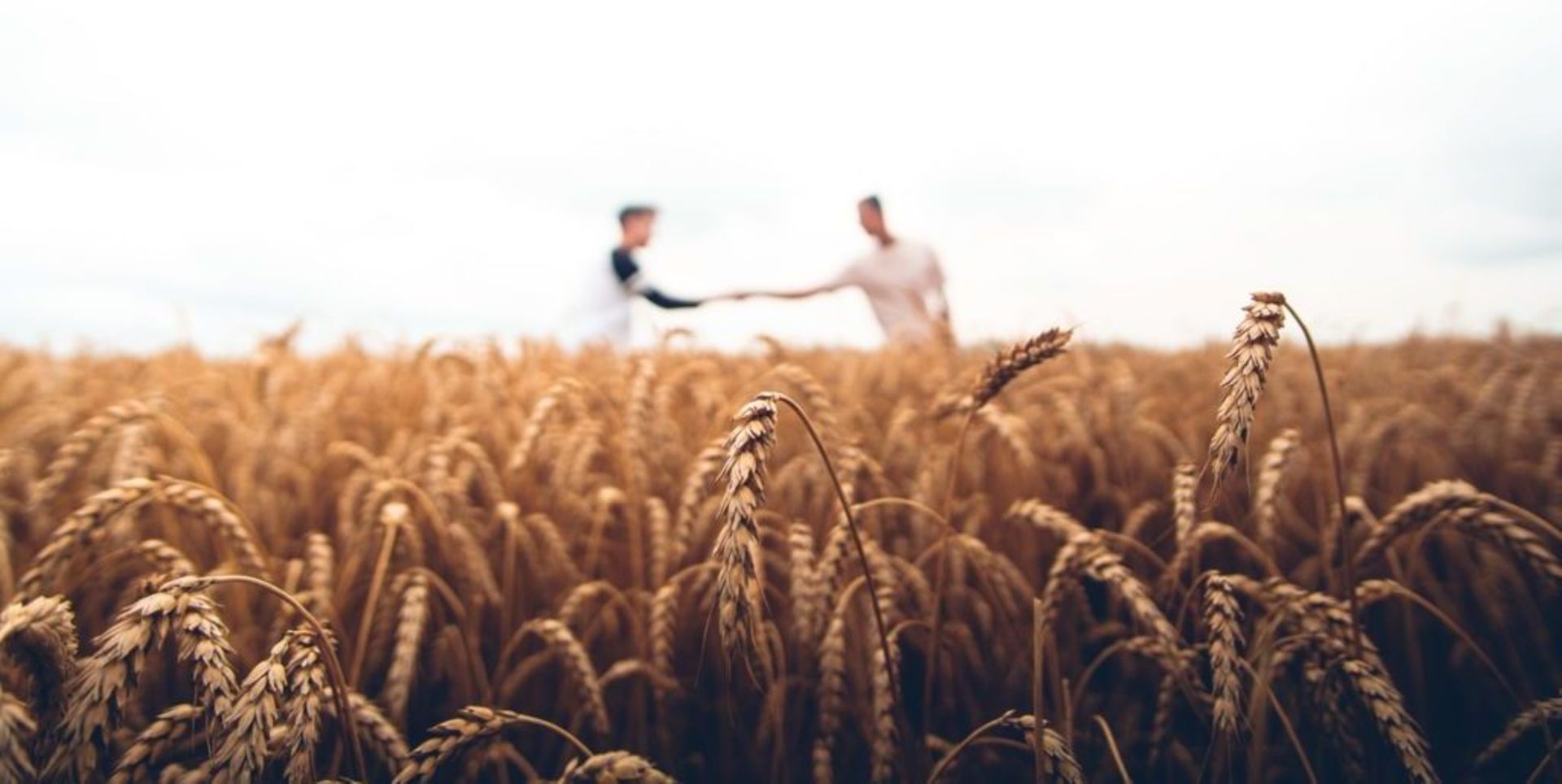 Indonesian agritech platform CROWDE to close $7m Series A led by Monk's Hill