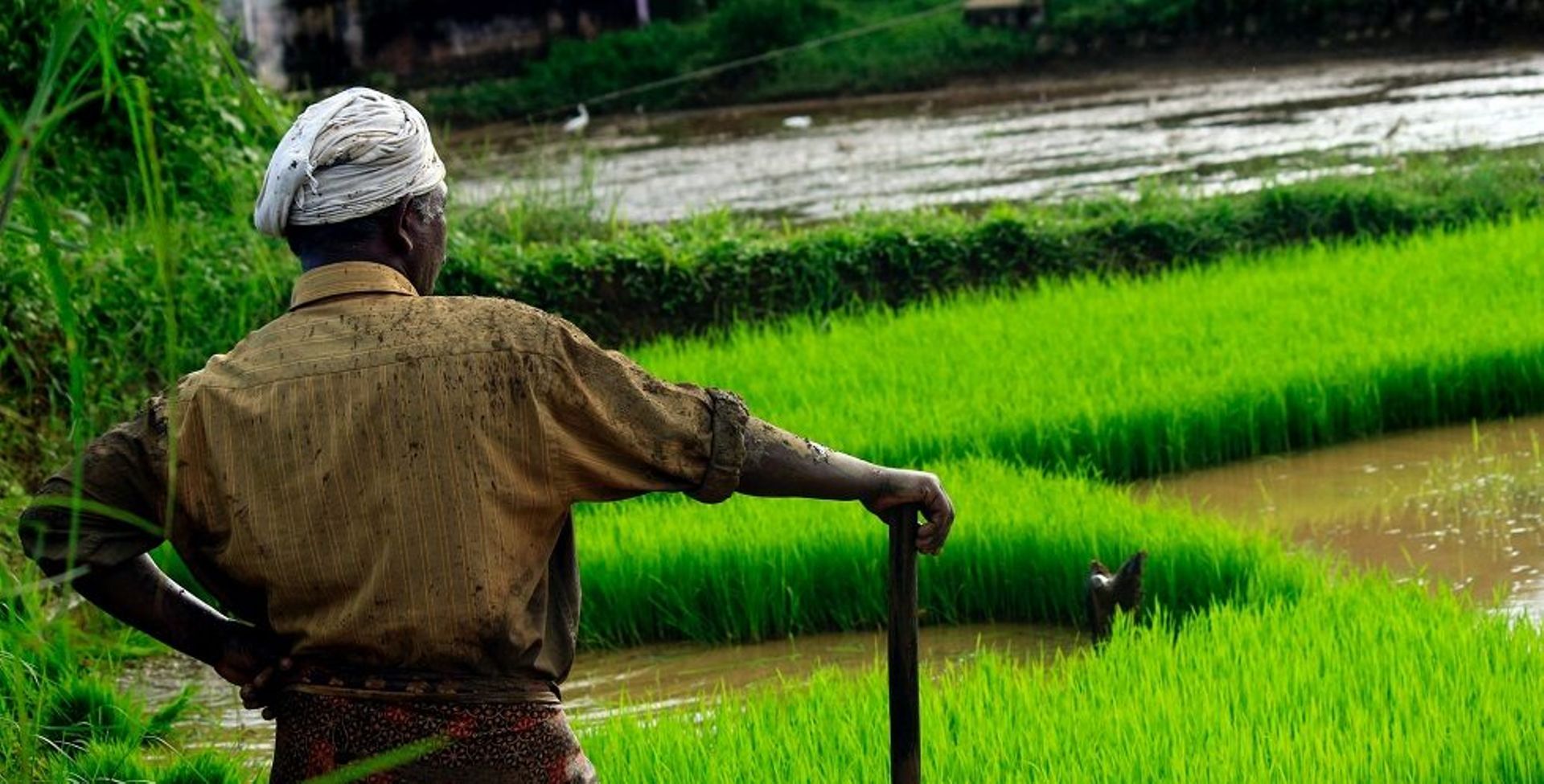 Blue Earth Capital sees secondaries driving impact investments