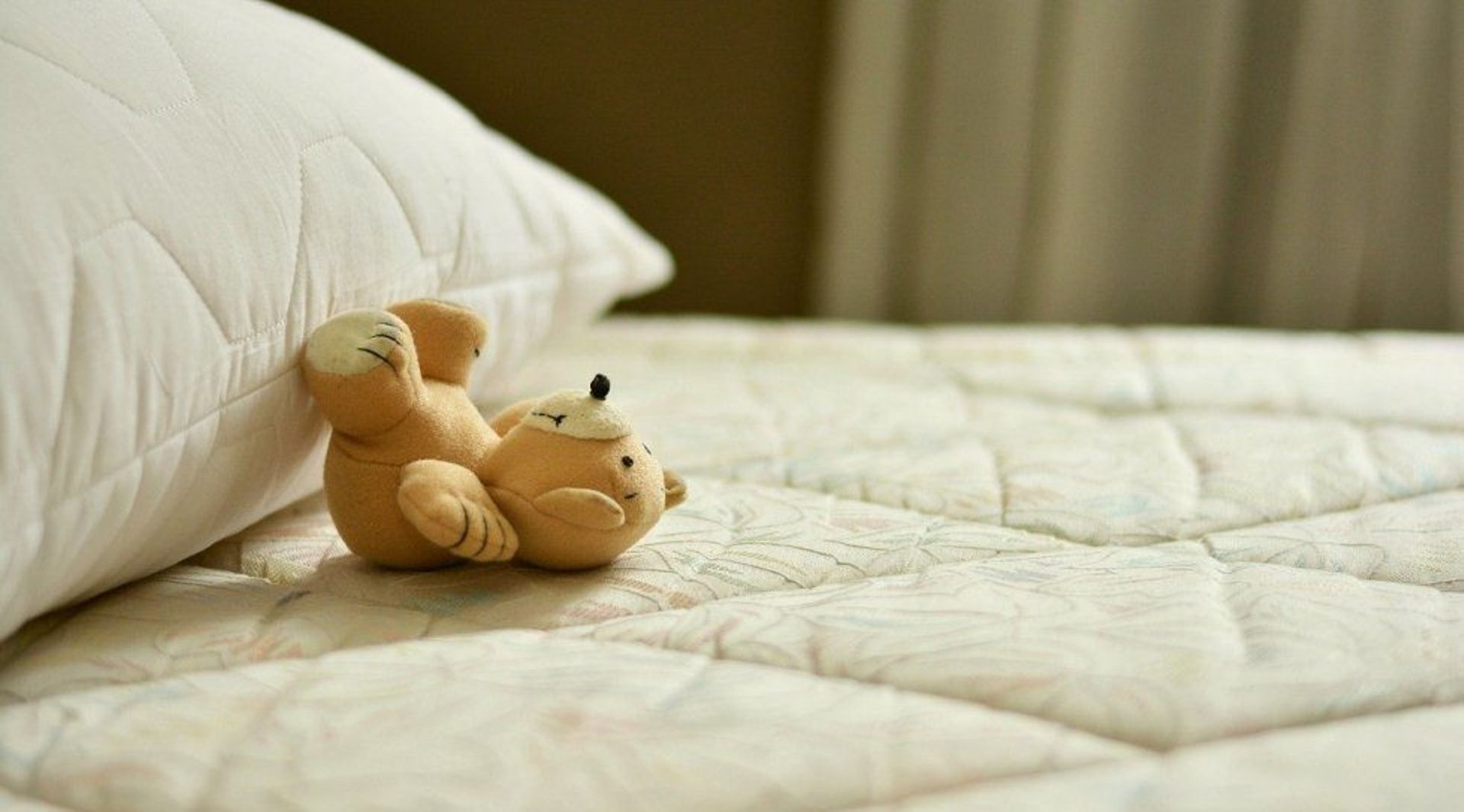 India Digest: PremjiInvest leads $21m funding in The Sleep Company; CashKaro snags close to $16m