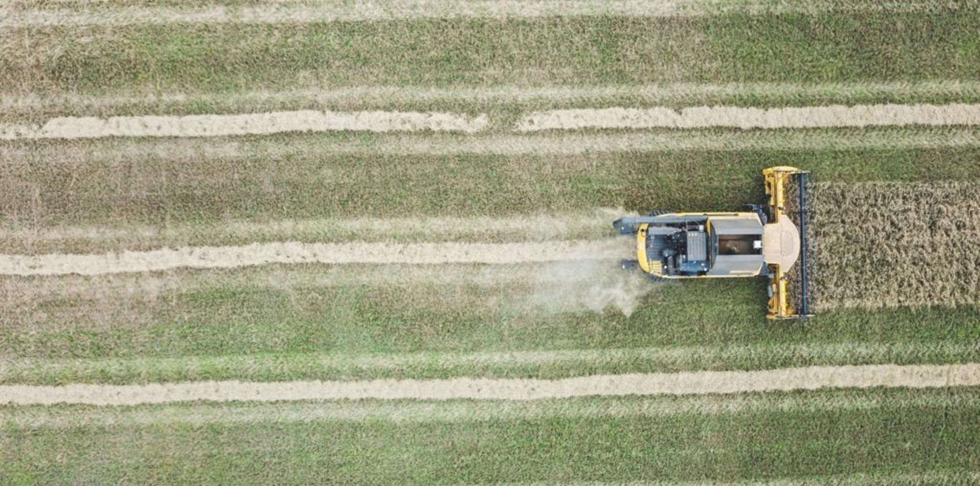 SEA Digest: Thai Wah Group sets up VC unit; Coinhako receives digital token nod