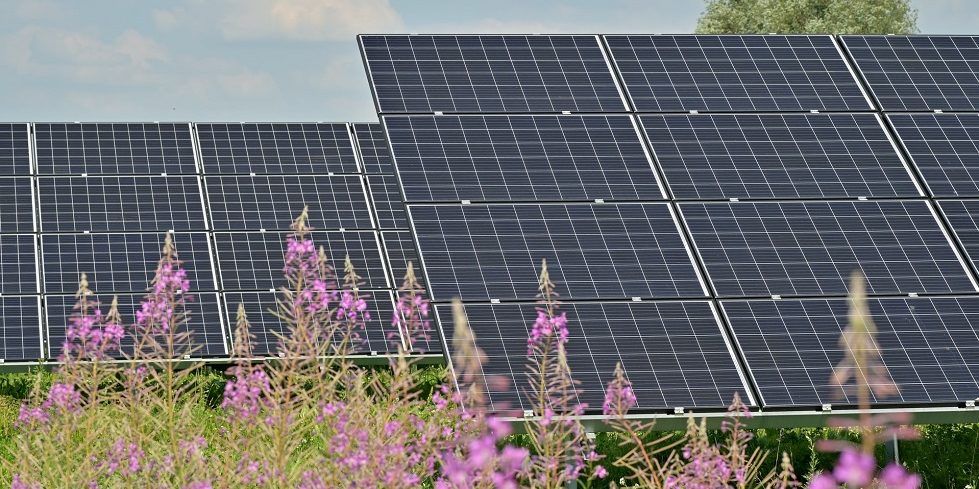 Bangladesh Energy Transition Fund launches green infra investment platform
