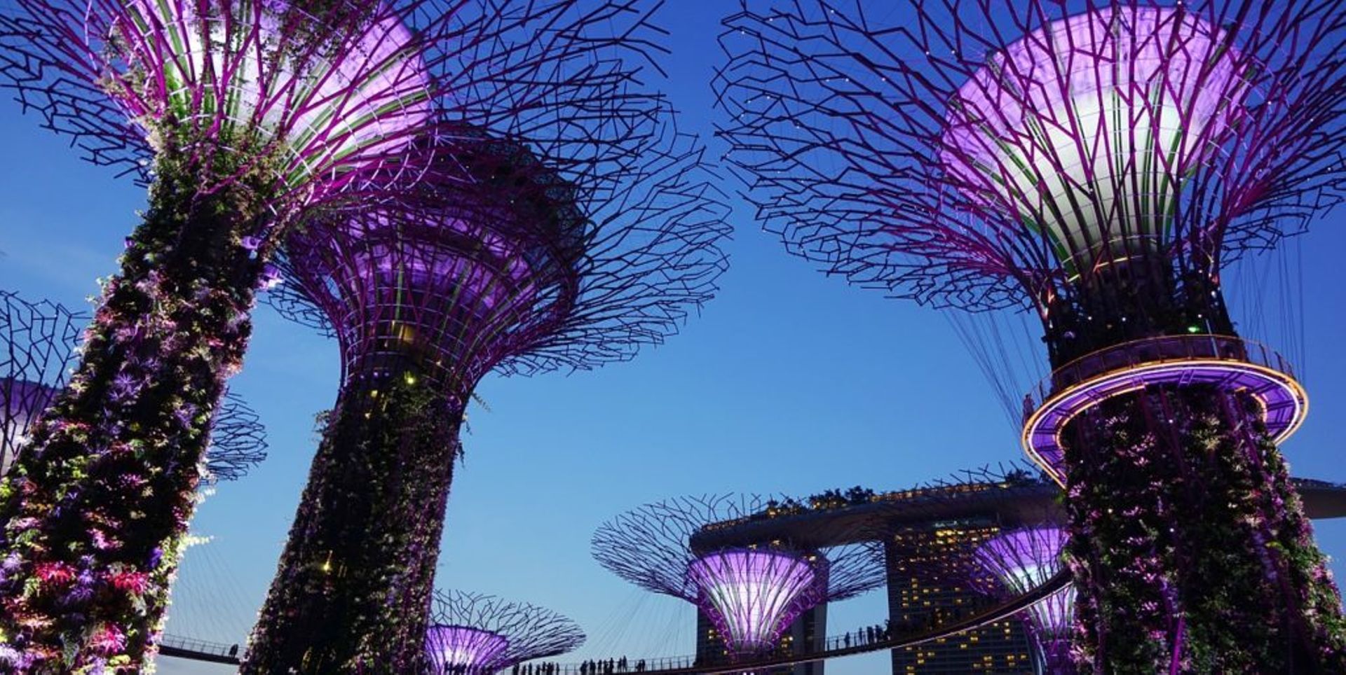 SE Asia ripe for more private equity capital inflows, diversified strategies