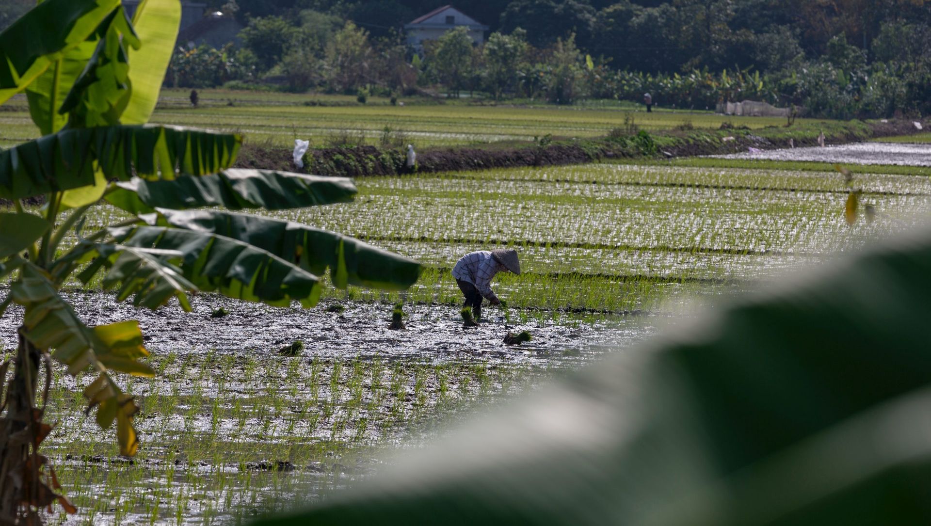 DFC commits to invest $10m in Abound Capital's debut venture debt fund