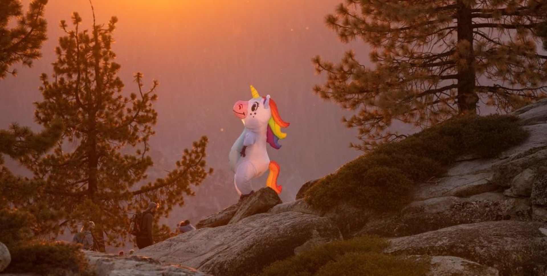 Eleven fintechs, 10 Singapore startups: What you need to know about SE Asia's newest unicorns