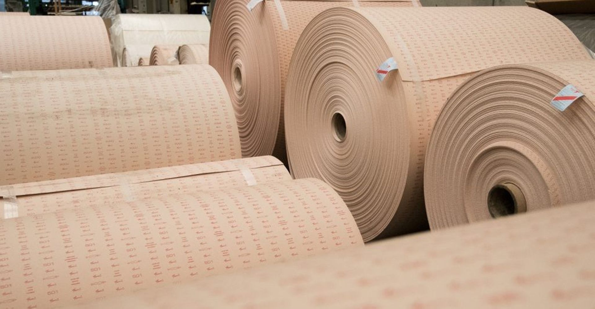 Navis Capital Partners said to revive sale of Hong Kong-based Texon