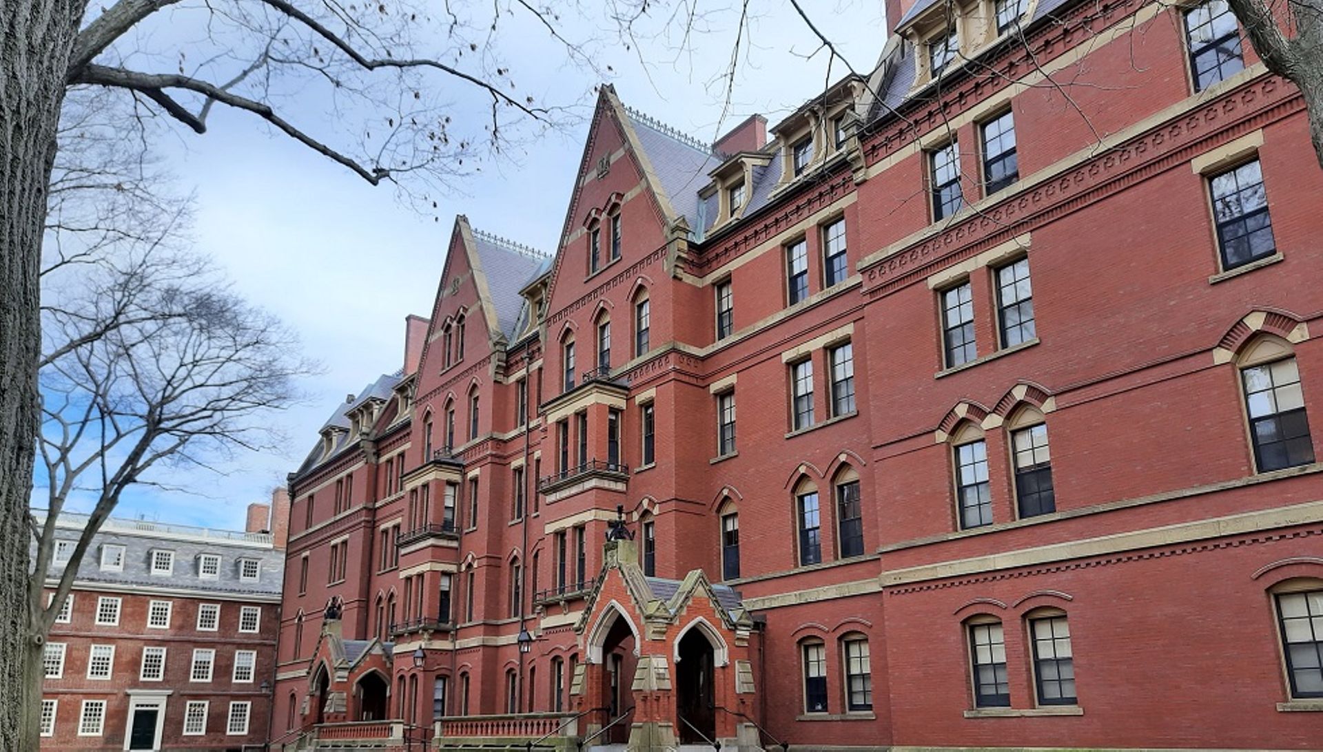 Harvard University exploring $1b worth private equity stakes sale