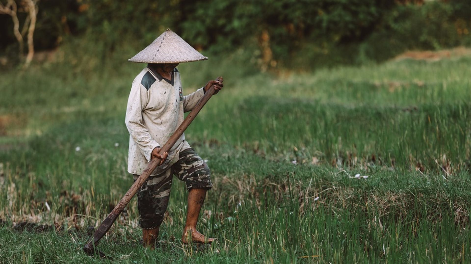 Behind TaniHub's management overhaul, rising NPLs and focus on B2B