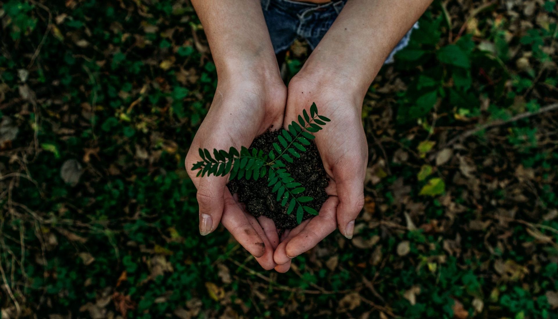 Sovereign wealth funds from Asia Pacific top Global SWF’s sustainability rankings