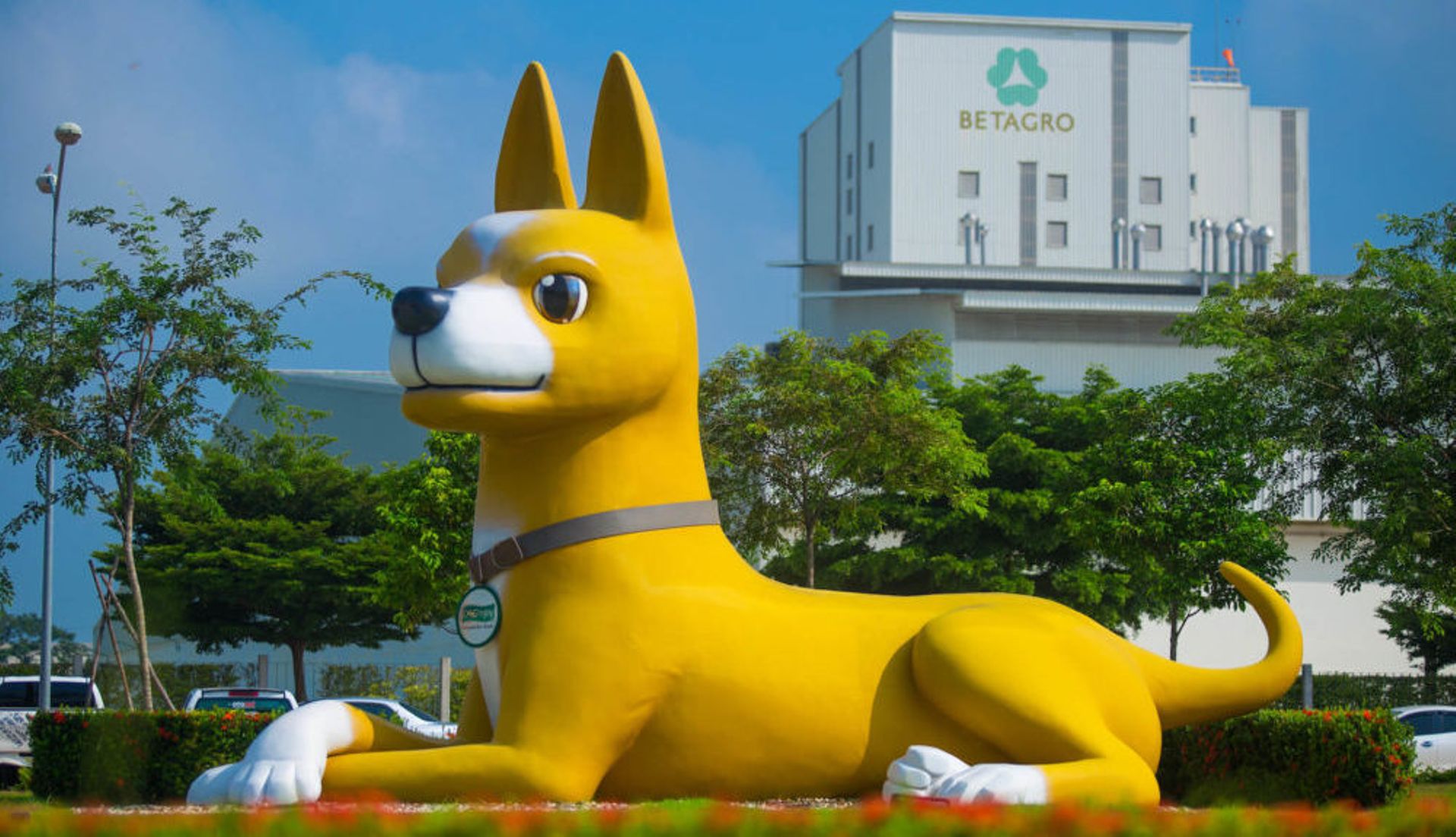 Thai animal feed and food firm Betagro looks to raise $554m IPO: report