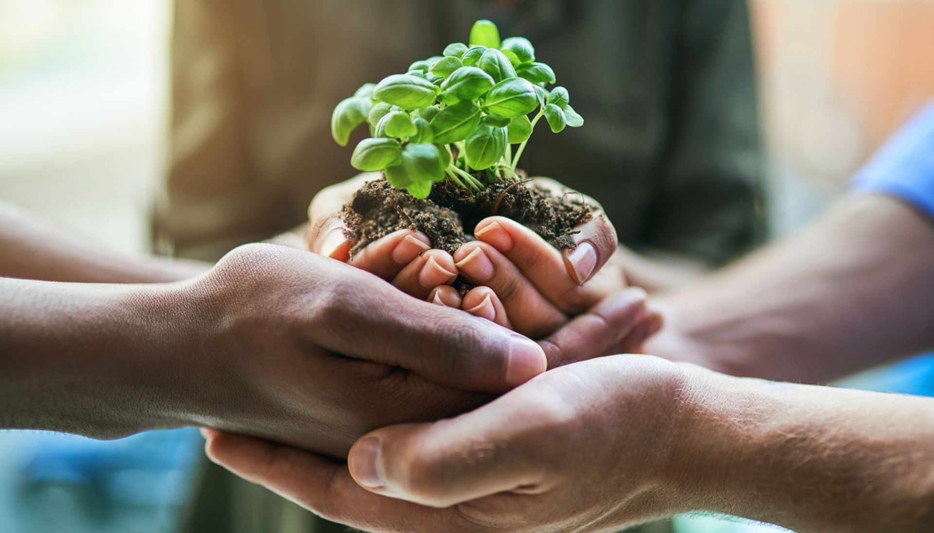 Asia Digest: Quadria Capital signs IFC's impact principles; REAZON launches Japan, SEA fund