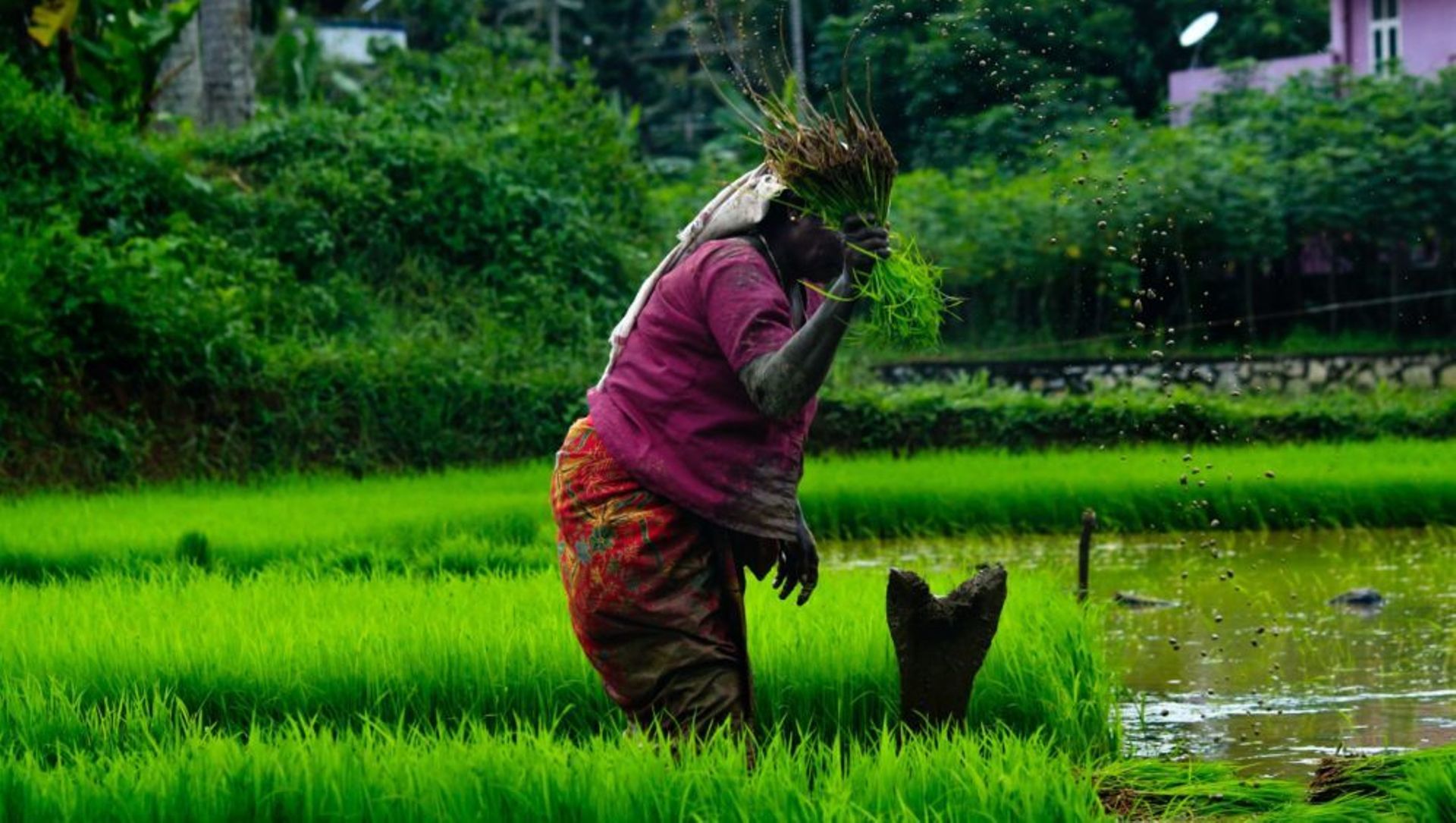 India Digest: Sofina leads agri platform DeHaat's $46m funding; Green Frontier backs EMotorad