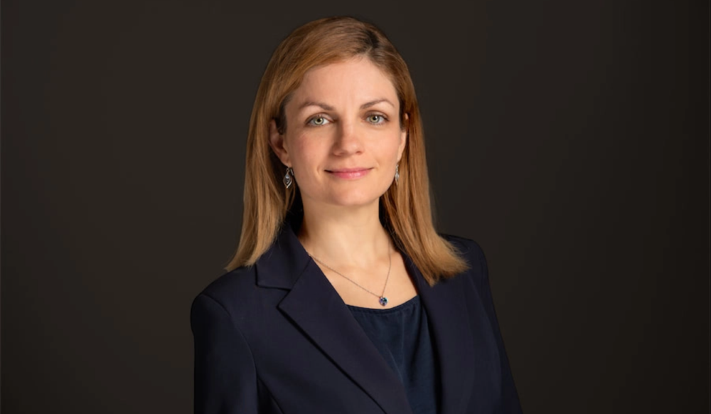 The LP View: EMIIF expects gender, climate investing to emerge as big ...