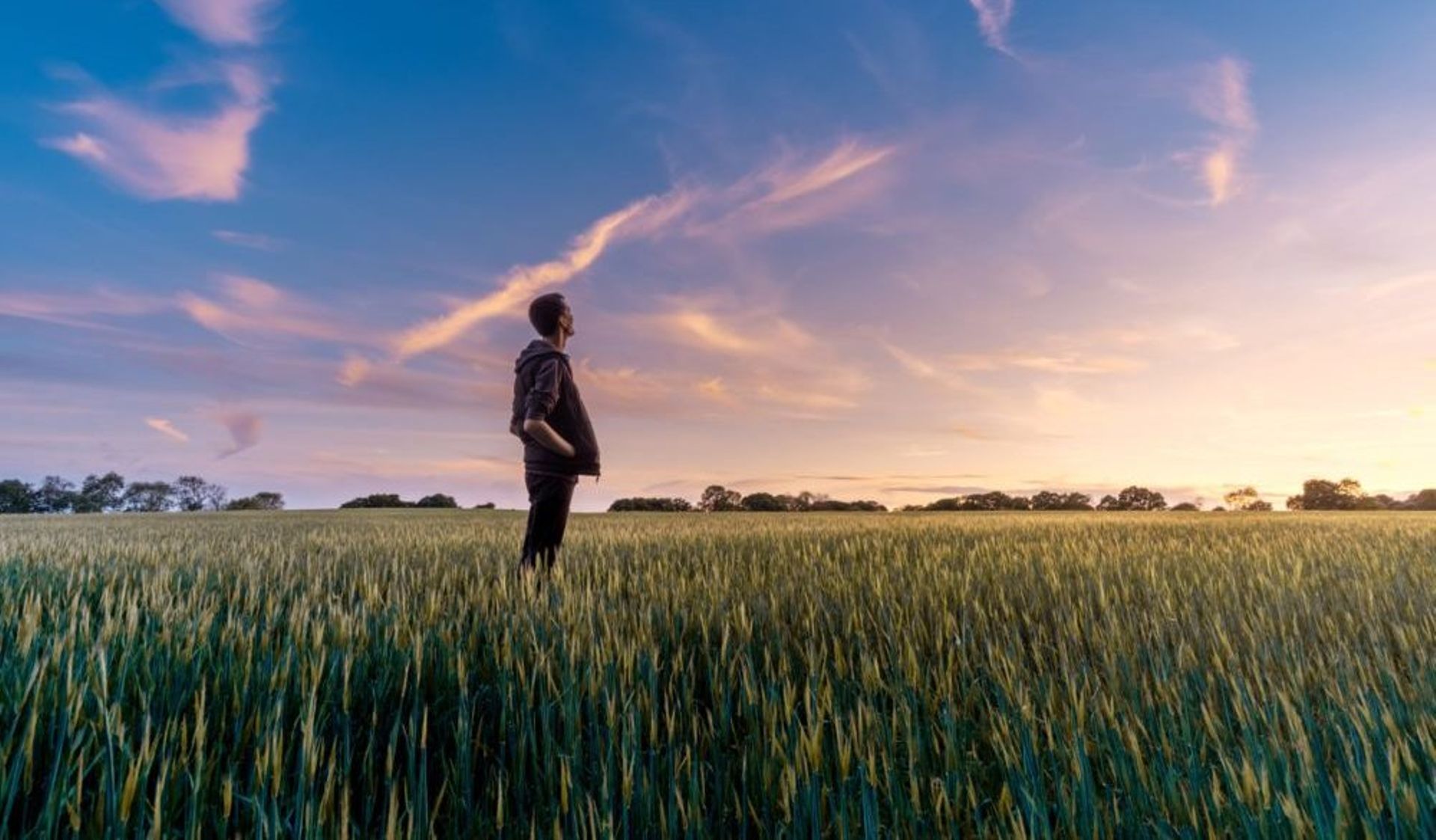 Indonesian agritech firm TaniHub's creditors move court to chalk out debt repayment plan