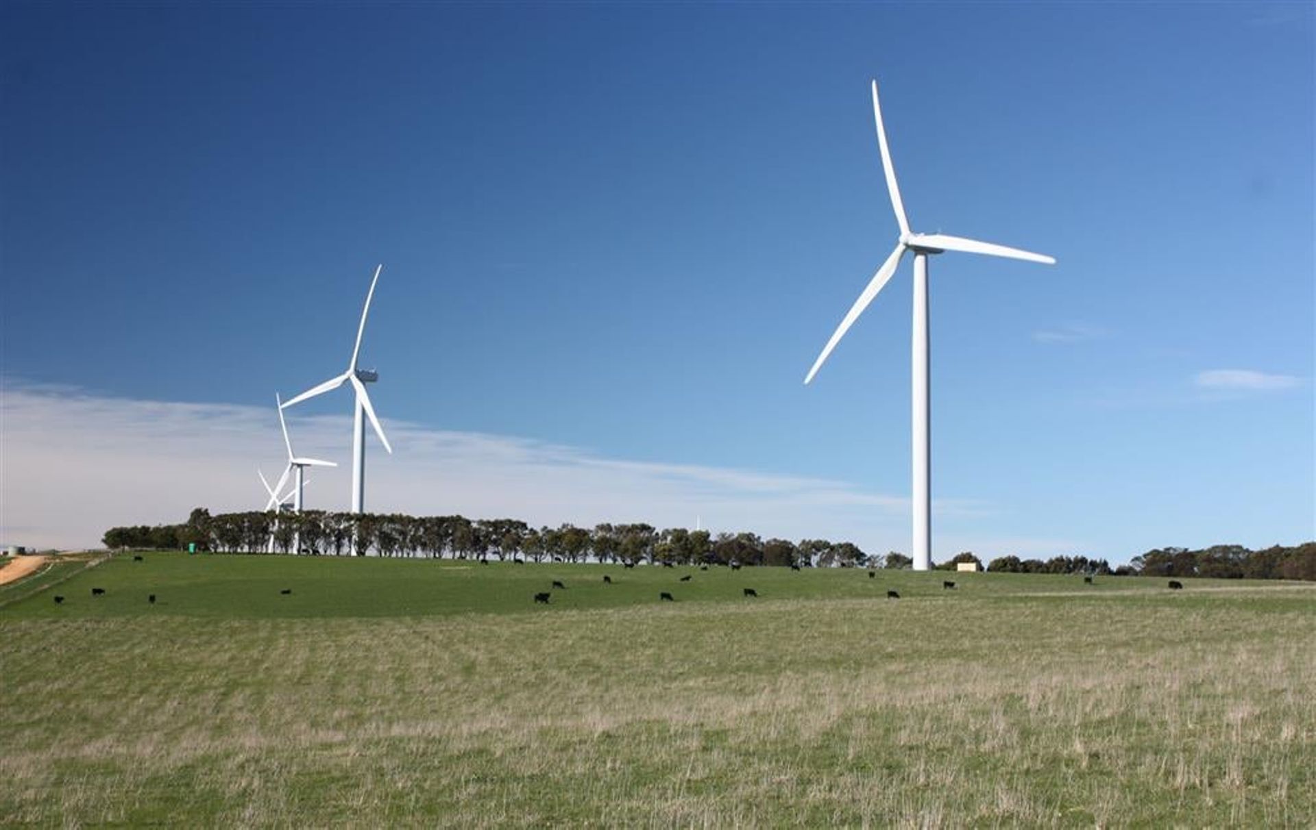 Decarbonisation powering private investment in Asia’s renewables: PATRIZIA